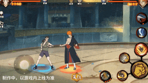 【新忍爆料】与忍犬的绝佳配合，犬塚花即将登场！(图9)