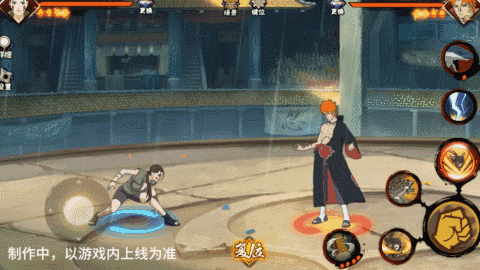 【新忍爆料】与忍犬的绝佳配合，犬塚花即将登场！(图12)