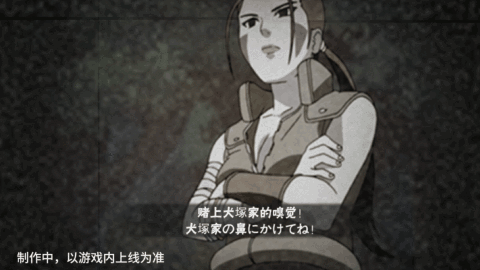 【新忍爆料】与忍犬的绝佳配合，犬塚花即将登场！(图13)