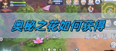 奥秘之花获取攻略(图1) 奥秘之花获取攻略(图1)