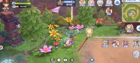 奥秘之花获取攻略(图3) 奥秘之花获取攻略(图3)