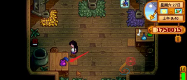 星露谷物语姜岛图腾柱怎么解锁(图1) 星露谷物语姜岛图腾柱怎么解锁(图1)