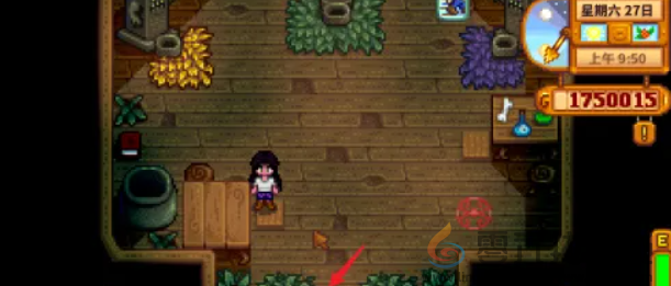 星露谷物语姜岛图腾柱怎么解锁(图2) 星露谷物语姜岛图腾柱怎么解锁(图2)