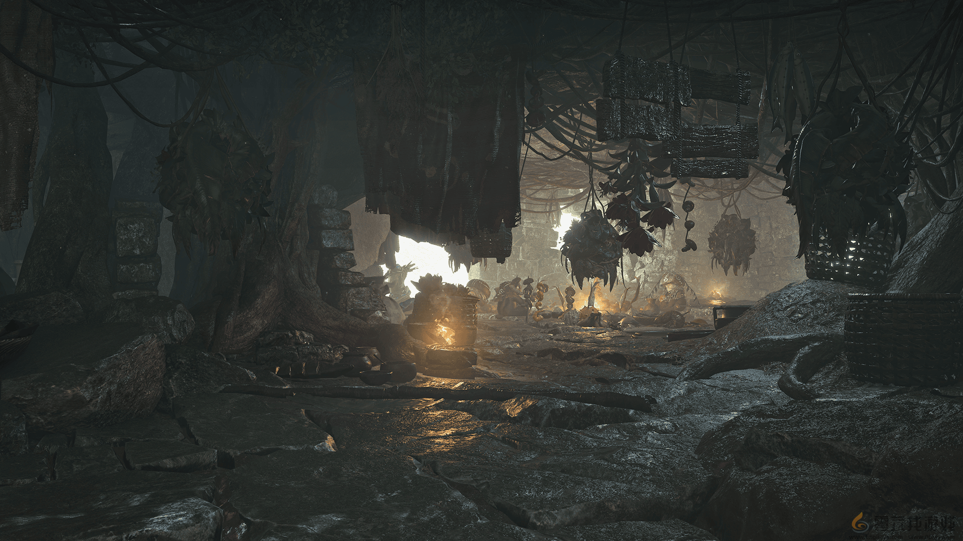 怪物猎人：荒野绯红森林地图介绍(图4)