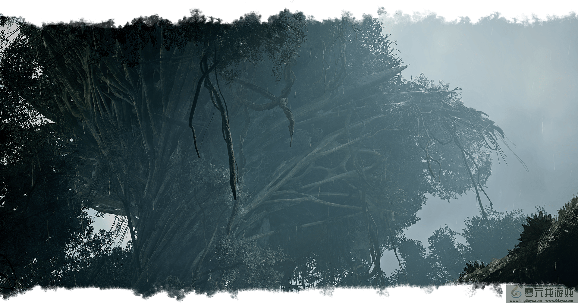 怪物猎人：荒野绯红森林地图介绍(图8)