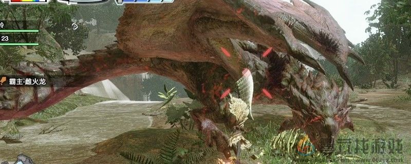 怪物猎人：荒野雌火龙信息介绍(图2)