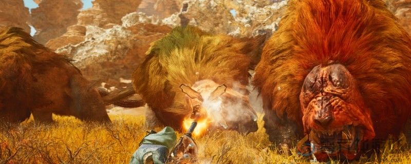 怪物猎人：荒野快速移动方法分享(图1)