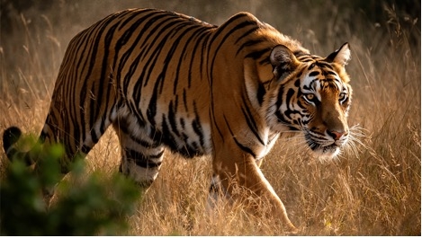 2025112711250046 FLUX.2 图像生成模型发布,针对 NVIDIA RTX GPU 优化(图2)